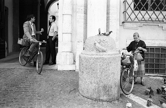 Feeding the Pigeons