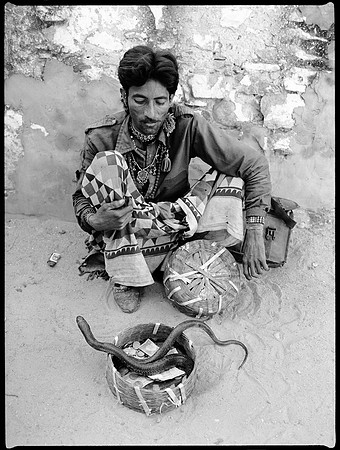 Snake Charmer