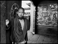 Young Monk