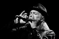 Elliott Murphy's Harp Solo
